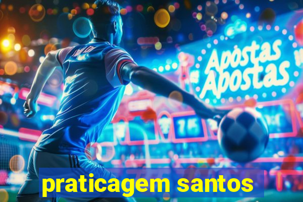 praticagem santos